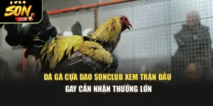 Đá Gà Cựa Dao Sonclub – Xem Trận Đấu Gay Cấn Nhận Thưởng Lớn