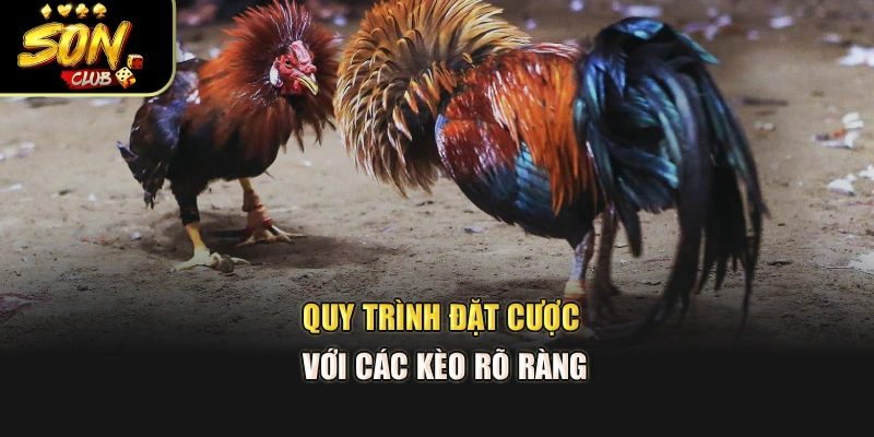 Quy trình đặt cược với các kèo rõ ràng